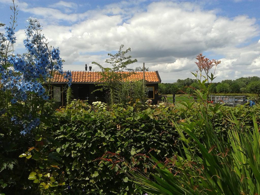 Bed And Breakfast Rodenberg Driebergen Dış mekan fotoğraf