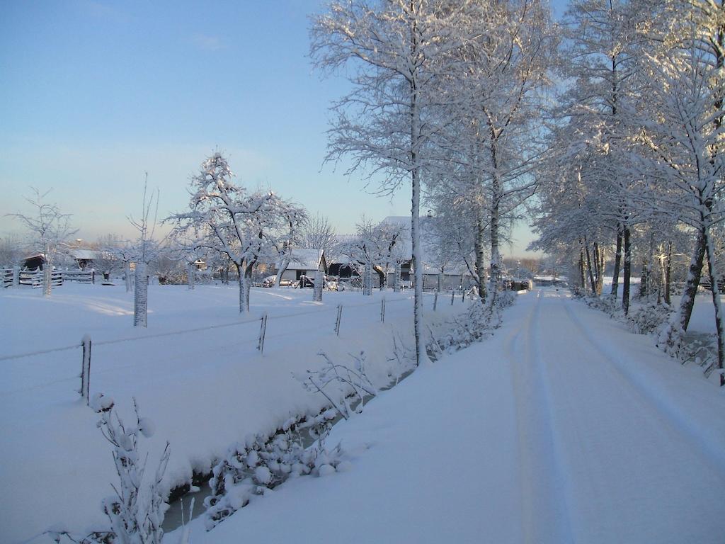 Bed And Breakfast Rodenberg Driebergen Dış mekan fotoğraf