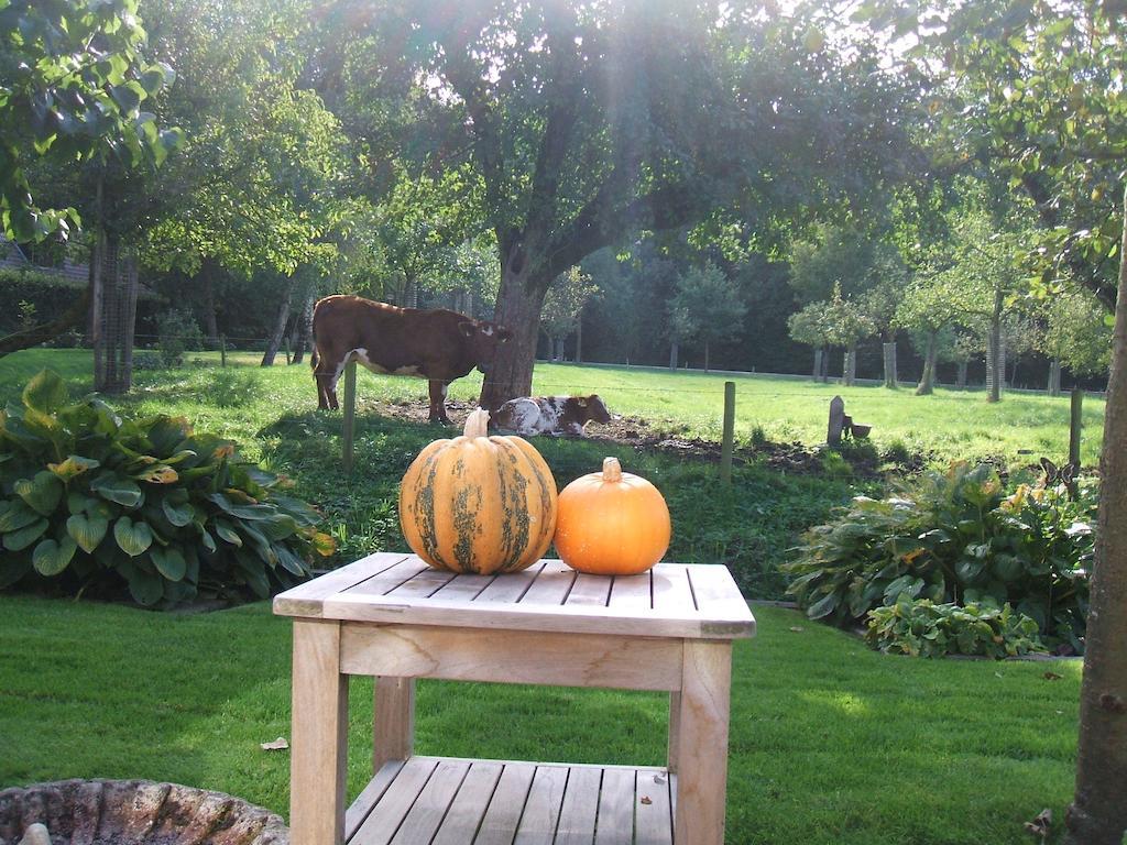 Bed And Breakfast Rodenberg Driebergen Dış mekan fotoğraf